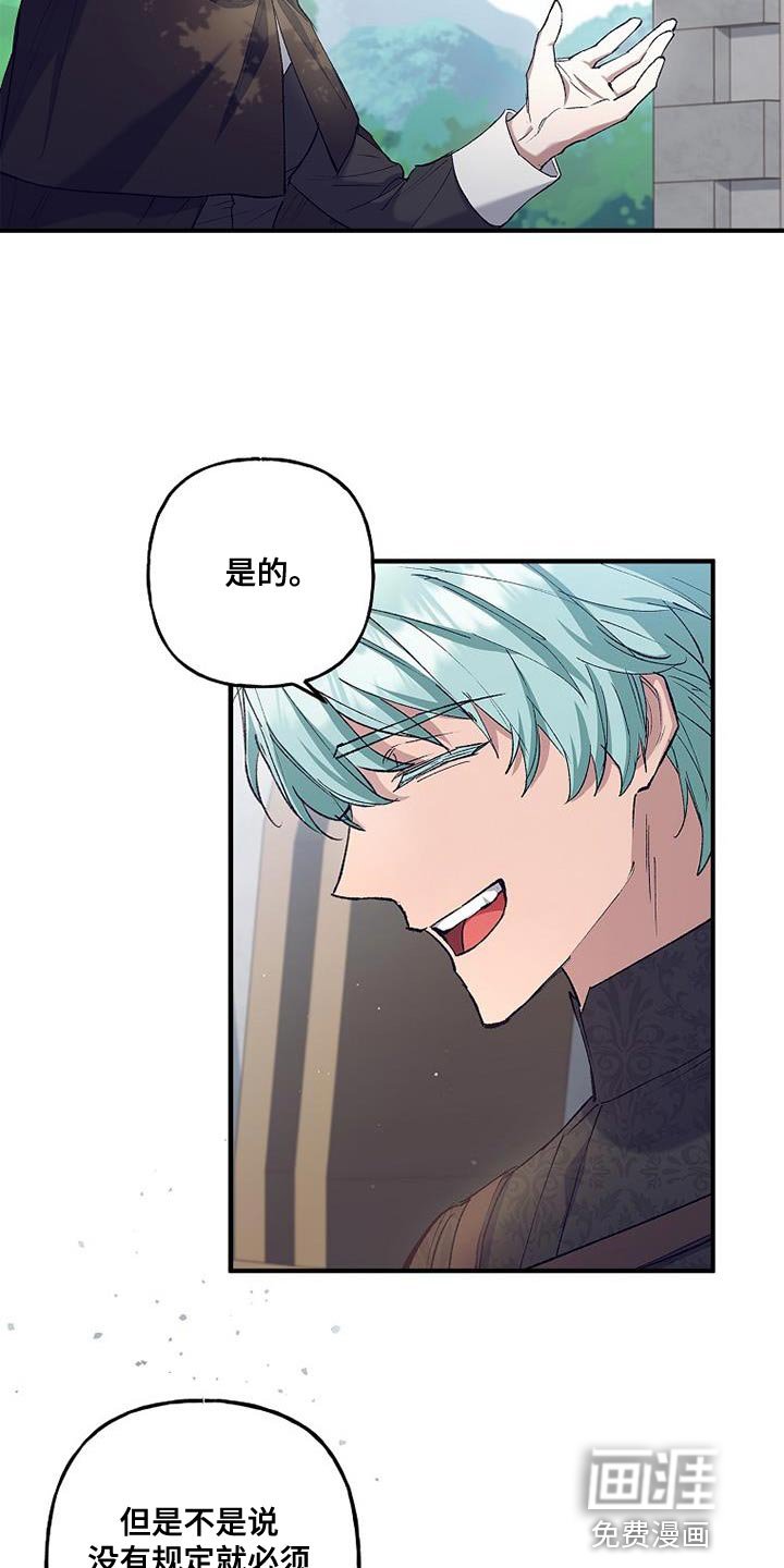 第42章：透视