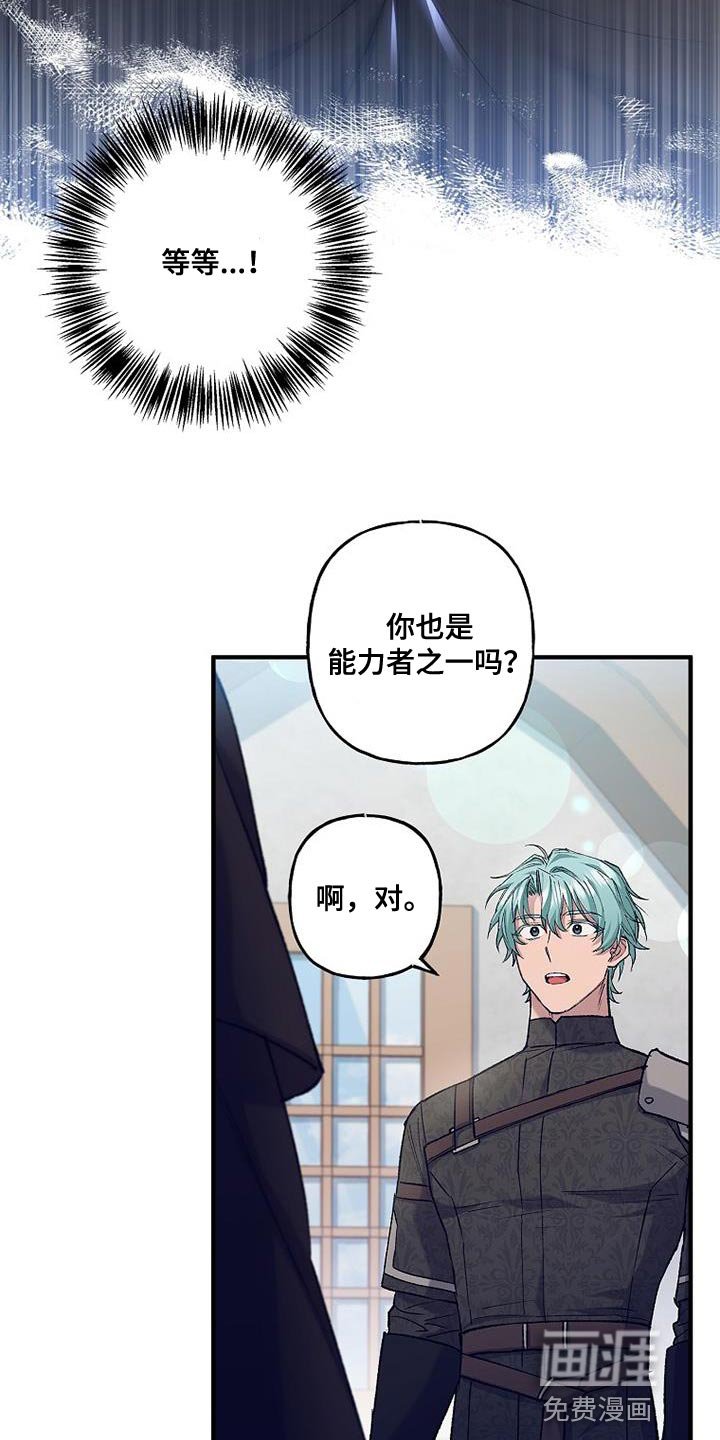 第42章：透视