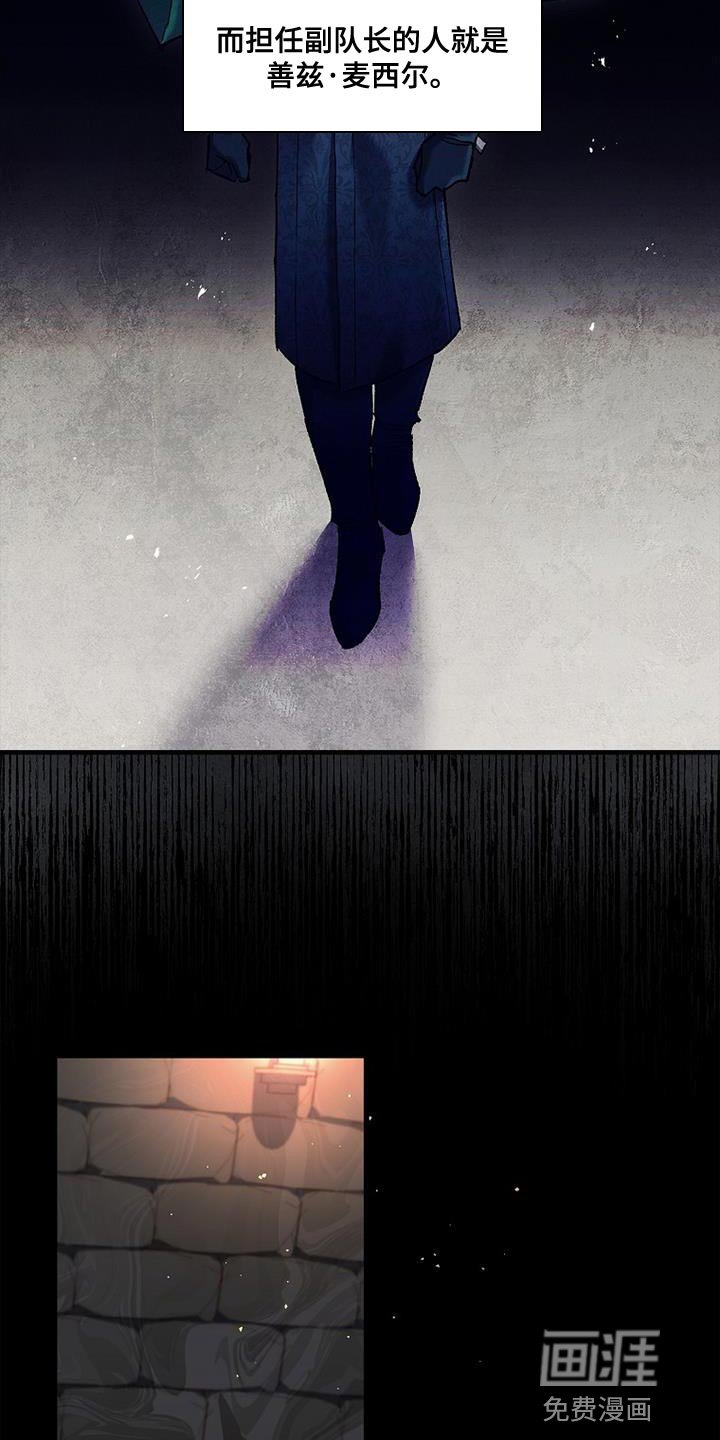第42章：透视