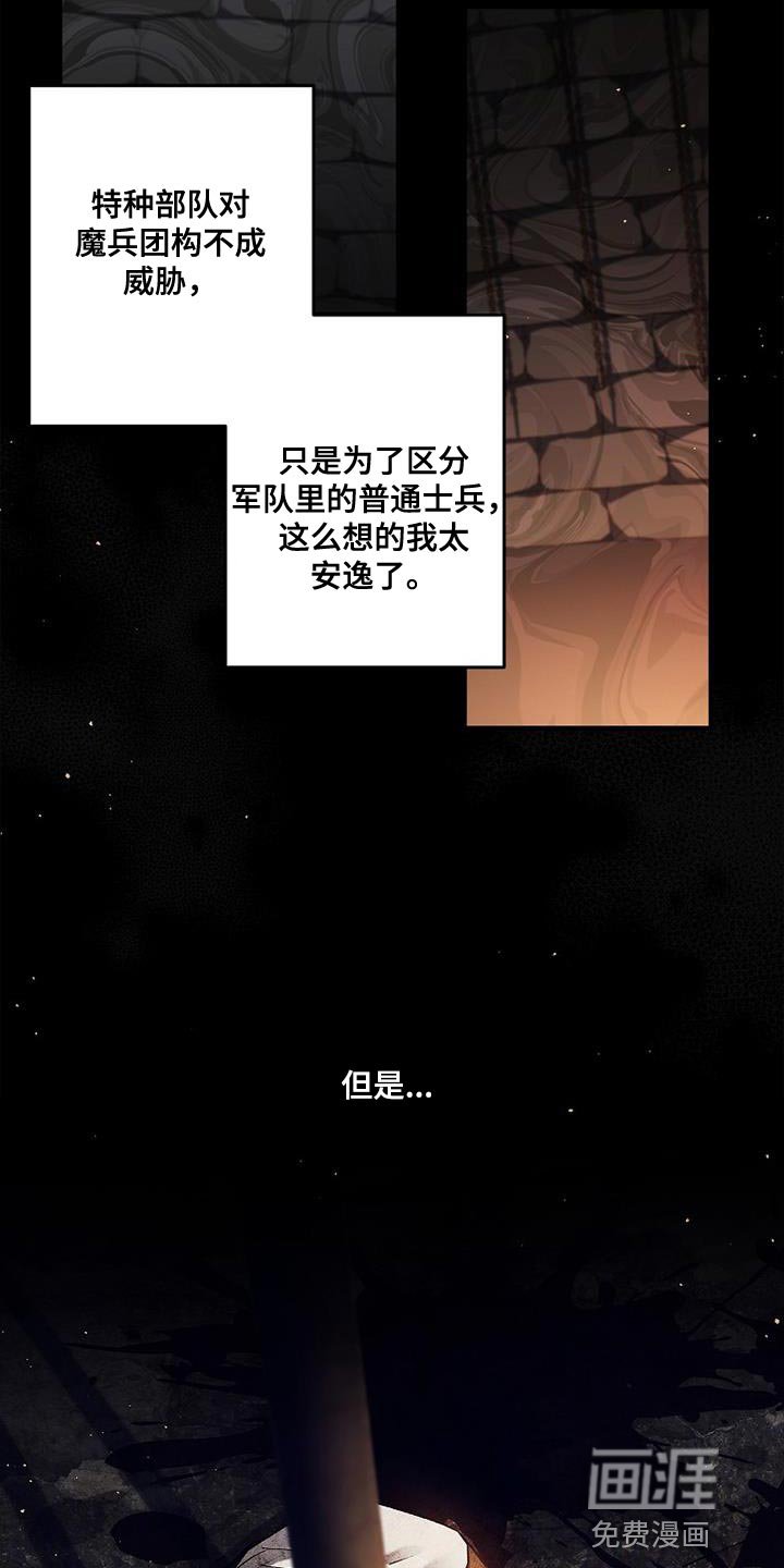 第42章：透视