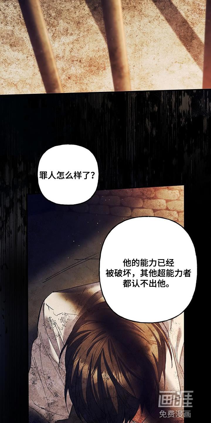 第42章：透视