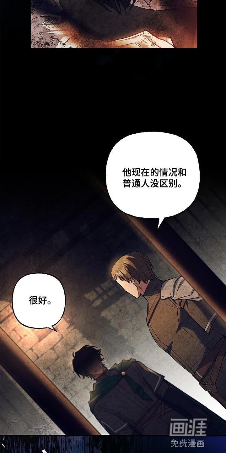 第42章：透视