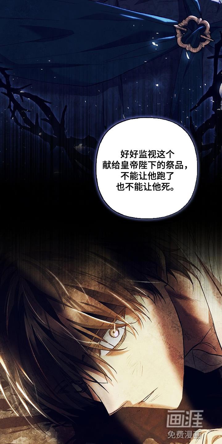 第42章：透视