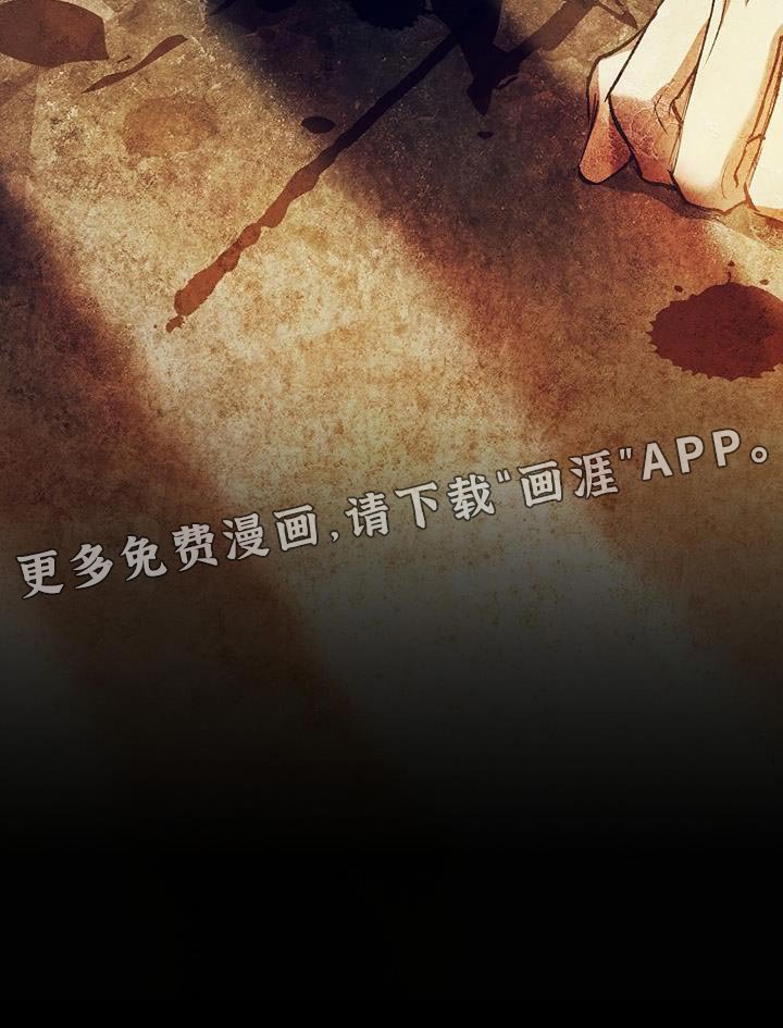 第42章：透视