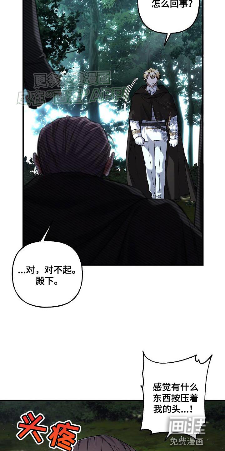 第49章：移动能力