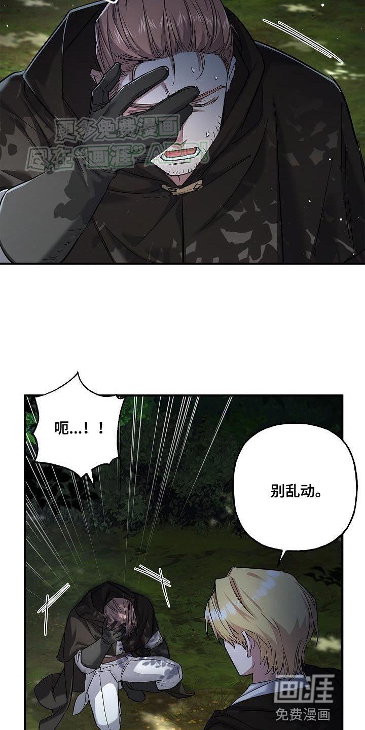 第49章：移动能力