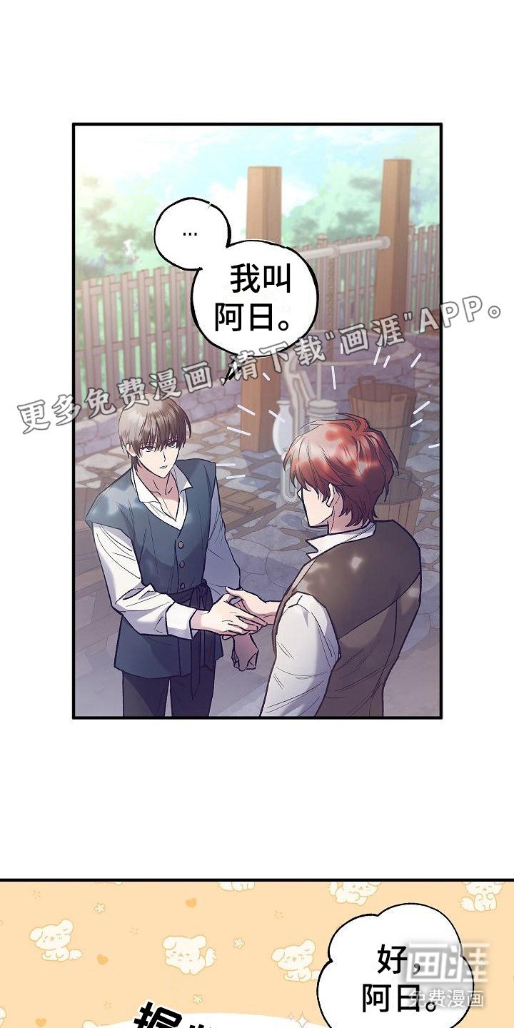 第6章：类似的话