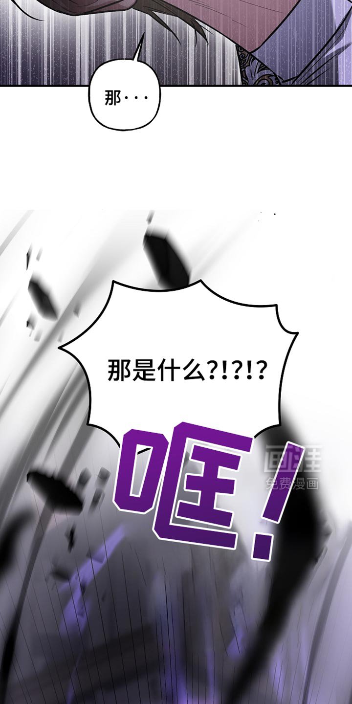 第81章：【第二季】奇迹般的存在