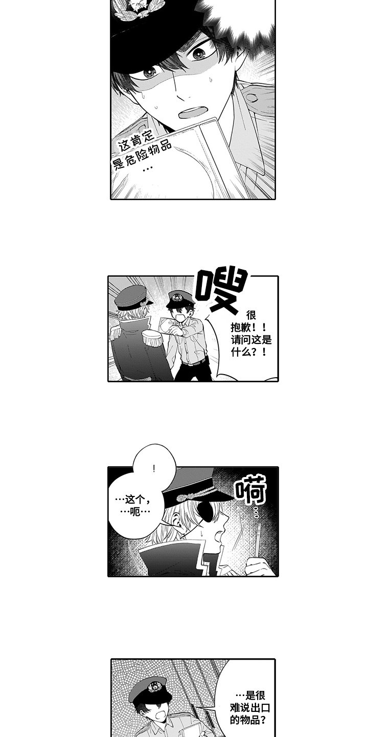 第2章：查看