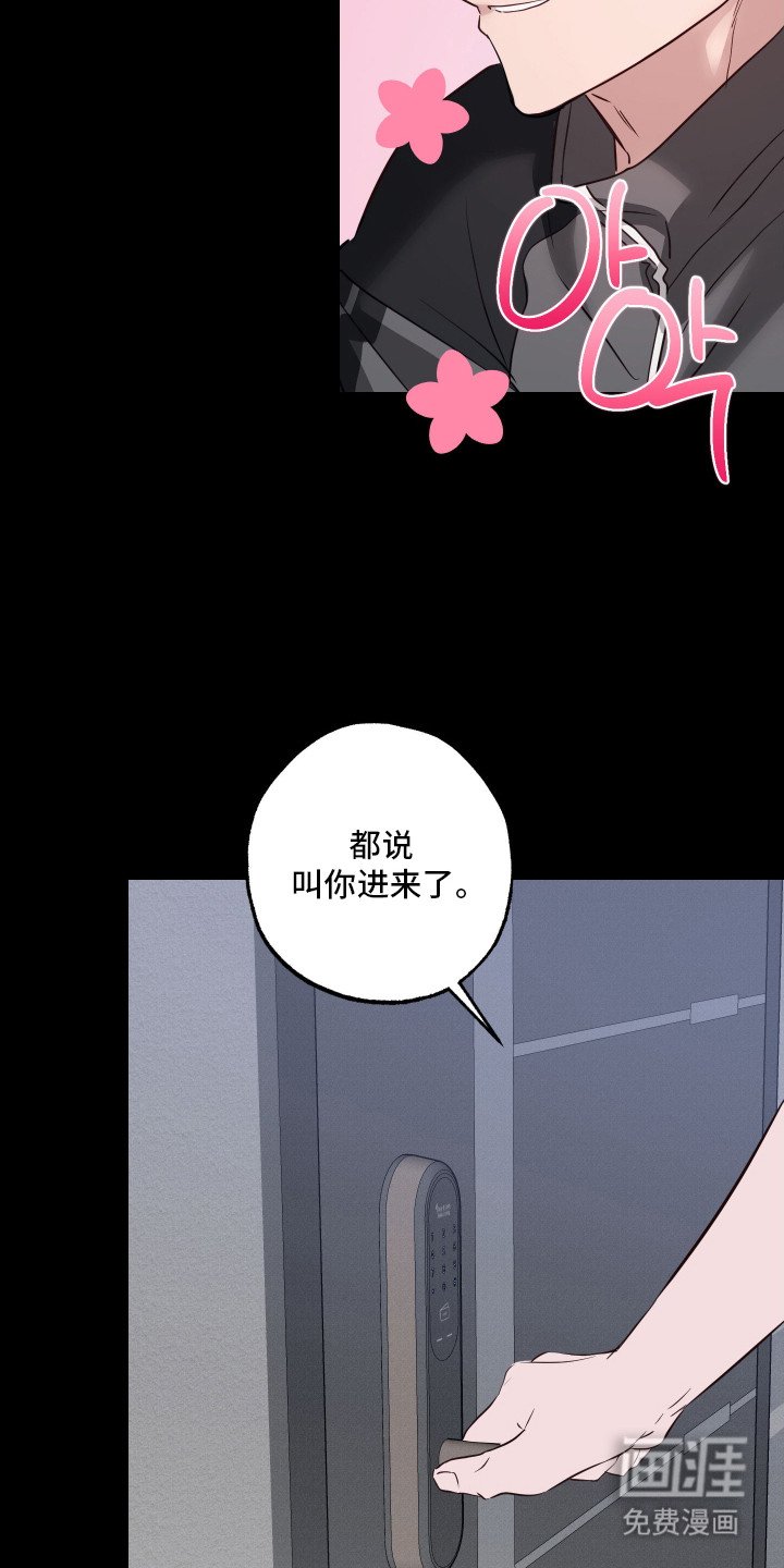 第13章：产生错觉