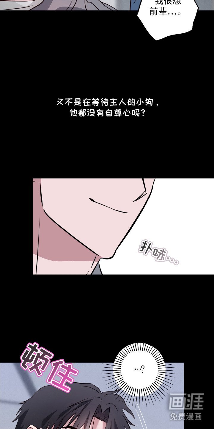第13章：产生错觉