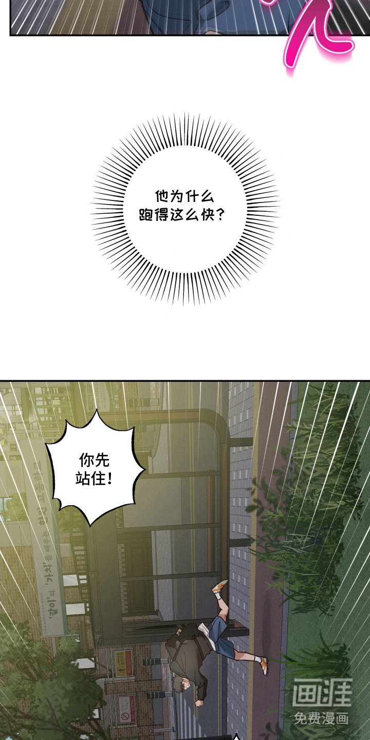 第14章：追逐