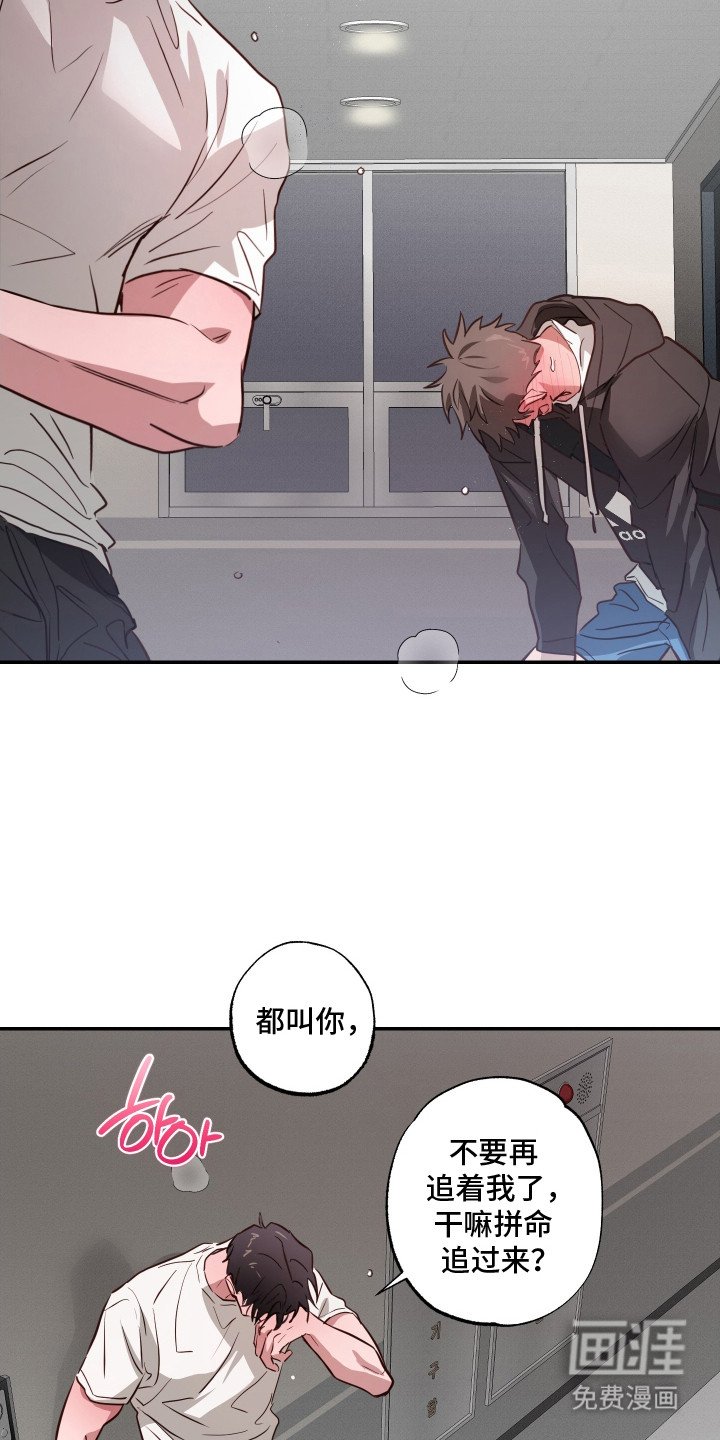 第14章：追逐