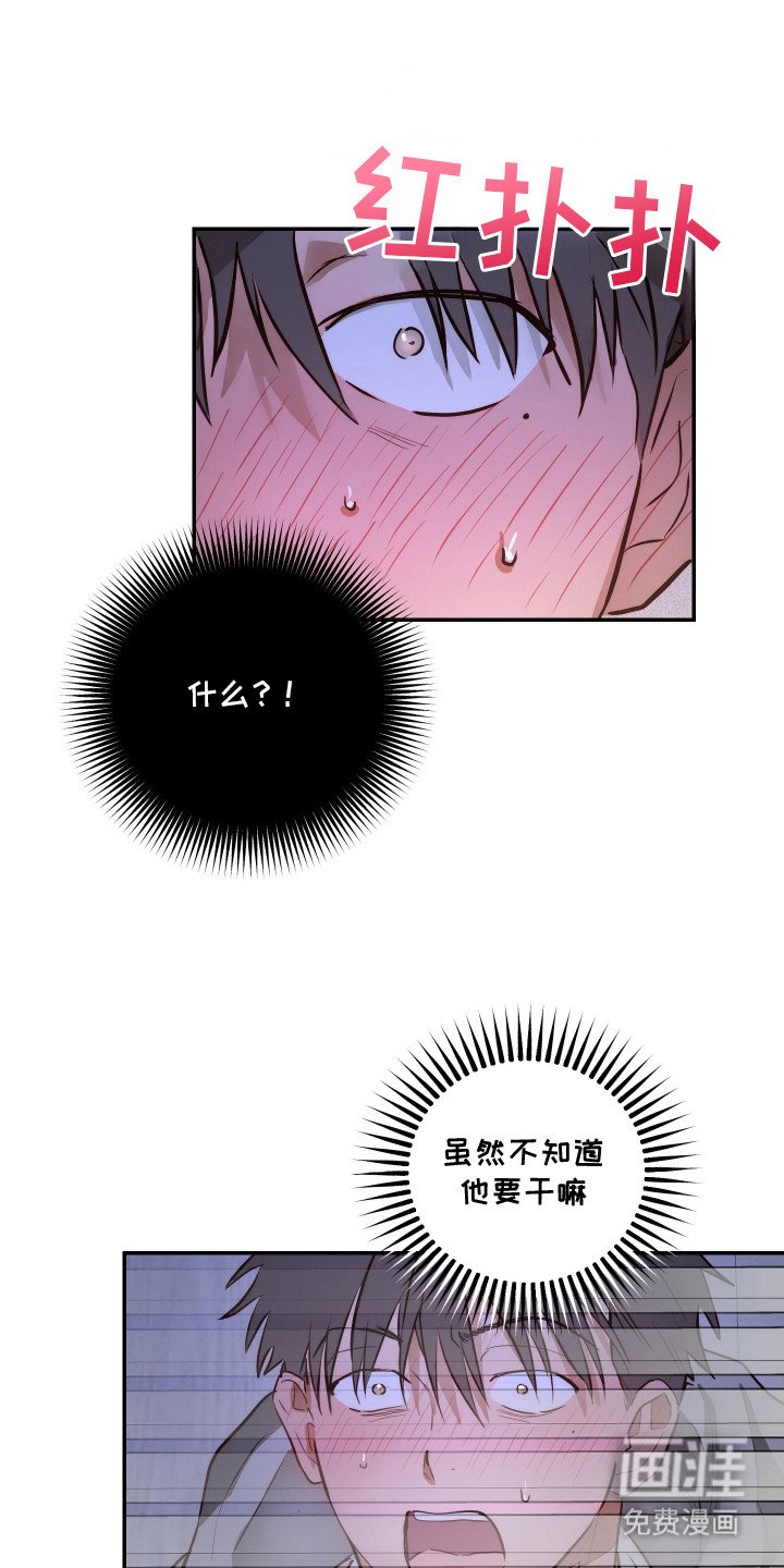 第3章：躲在衣柜里