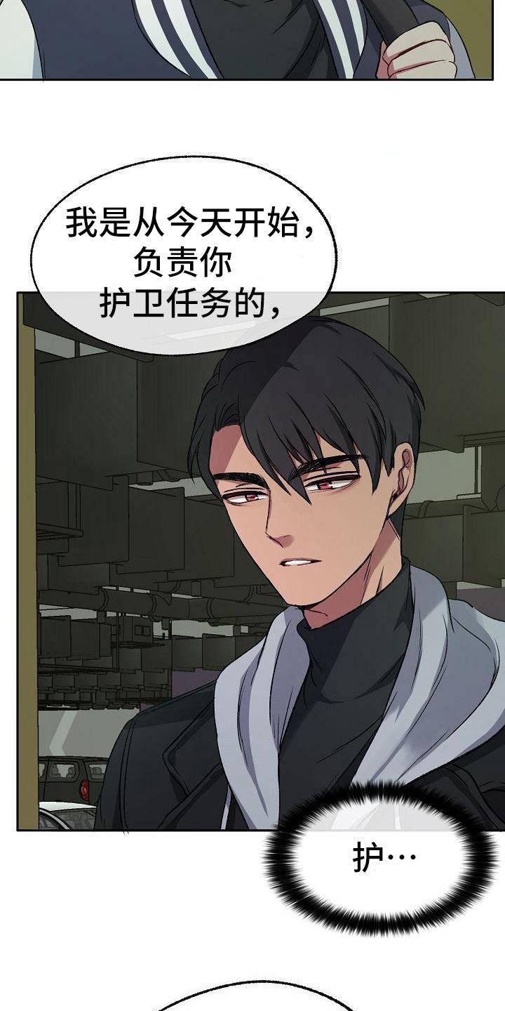 第3章：保镖