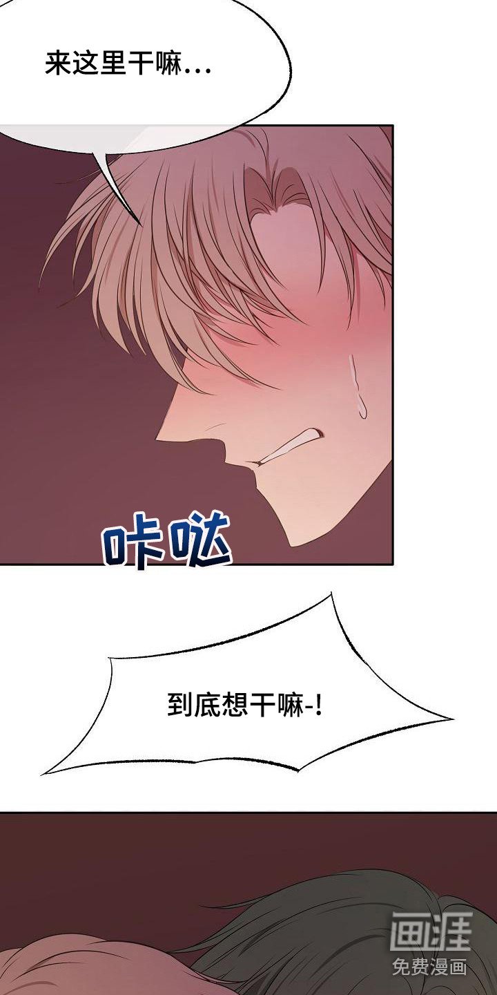 第43章：采访