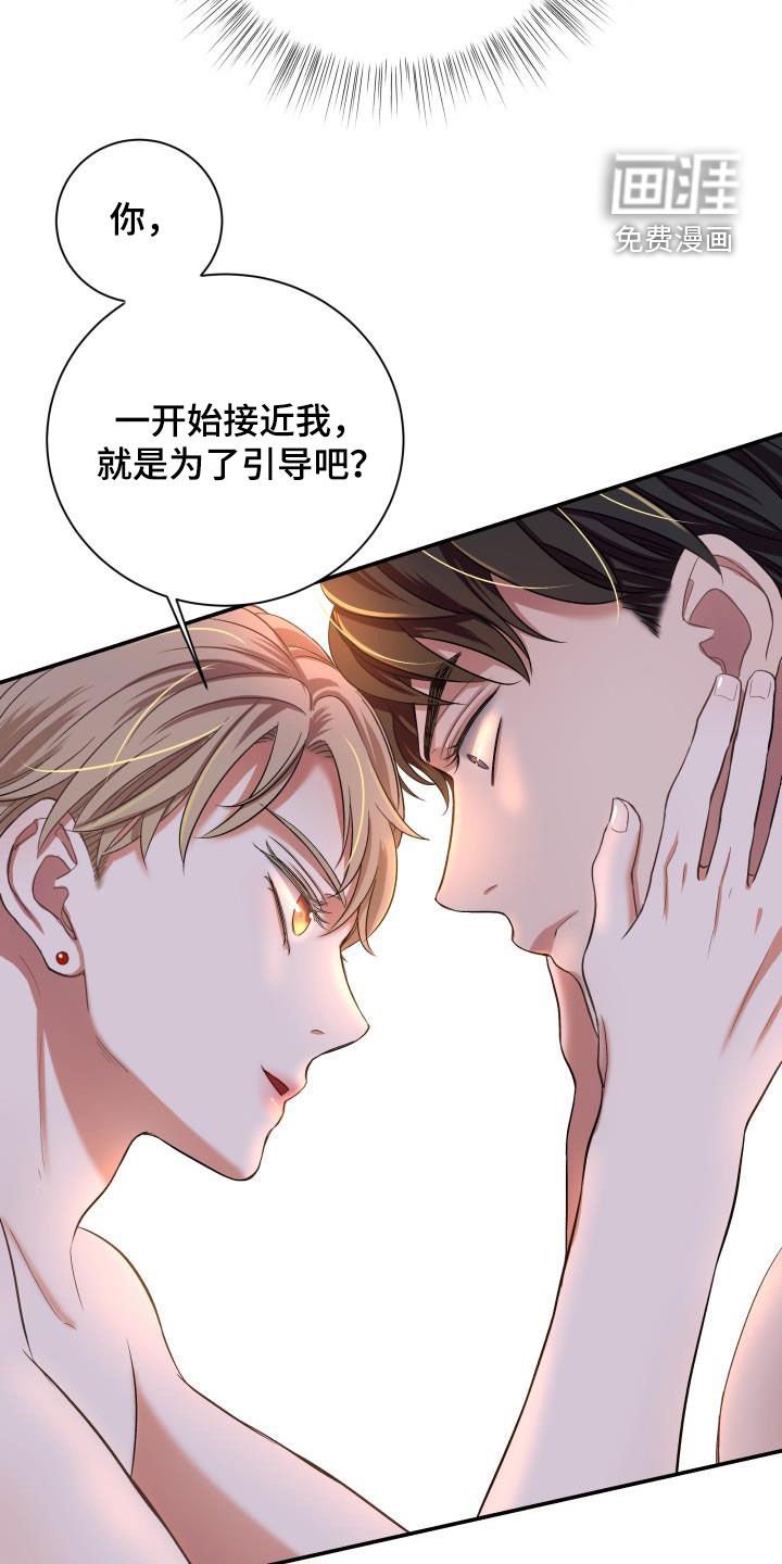 第15章：一见钟情
