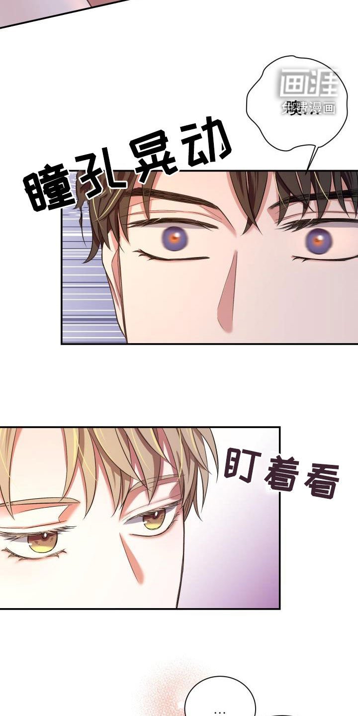 第15章：一见钟情