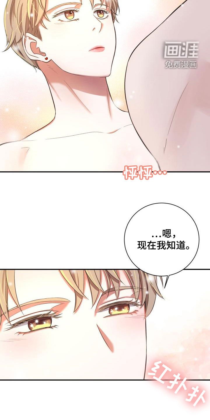 第15章：一见钟情