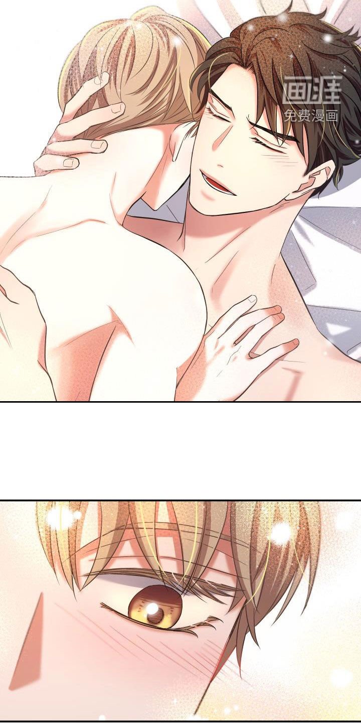 第15章：一见钟情