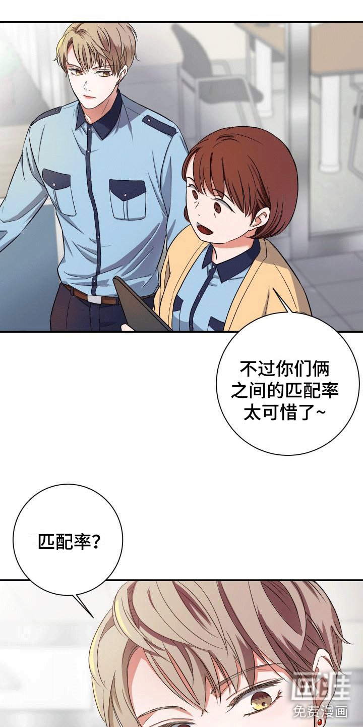 第5章：超高的匹配率