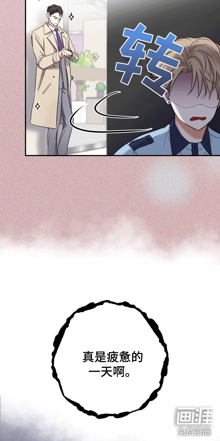 第6章：热烈追求