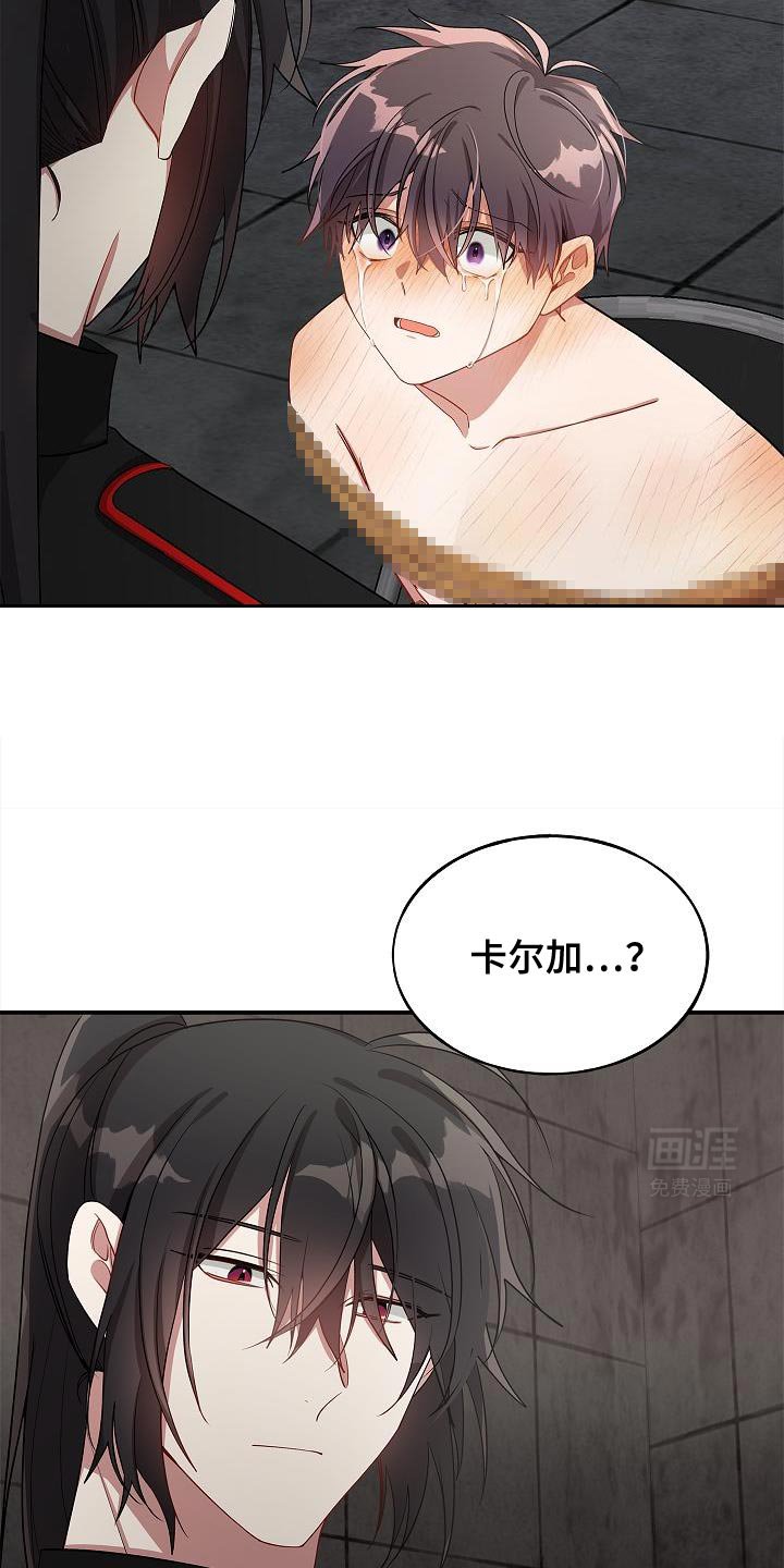 第113章：【第二季】让我能忘记一切