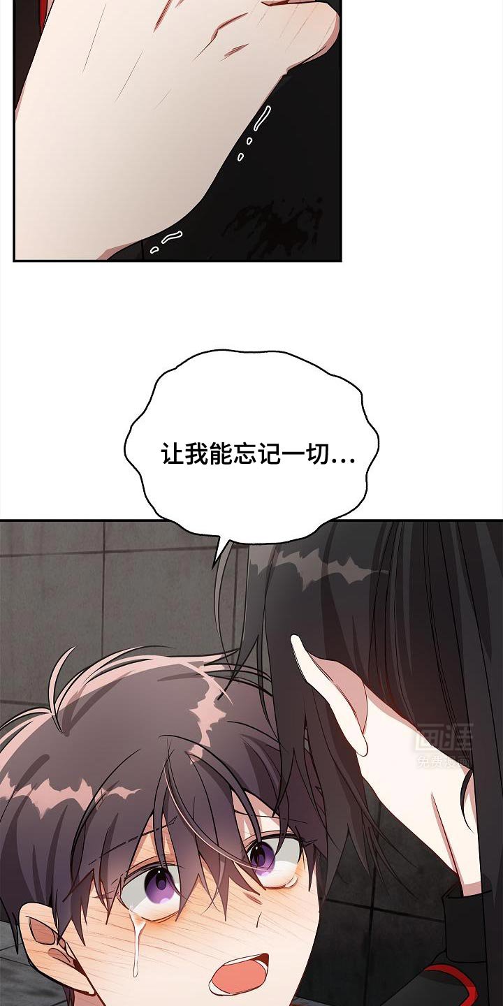 第113章：【第二季】让我能忘记一切
