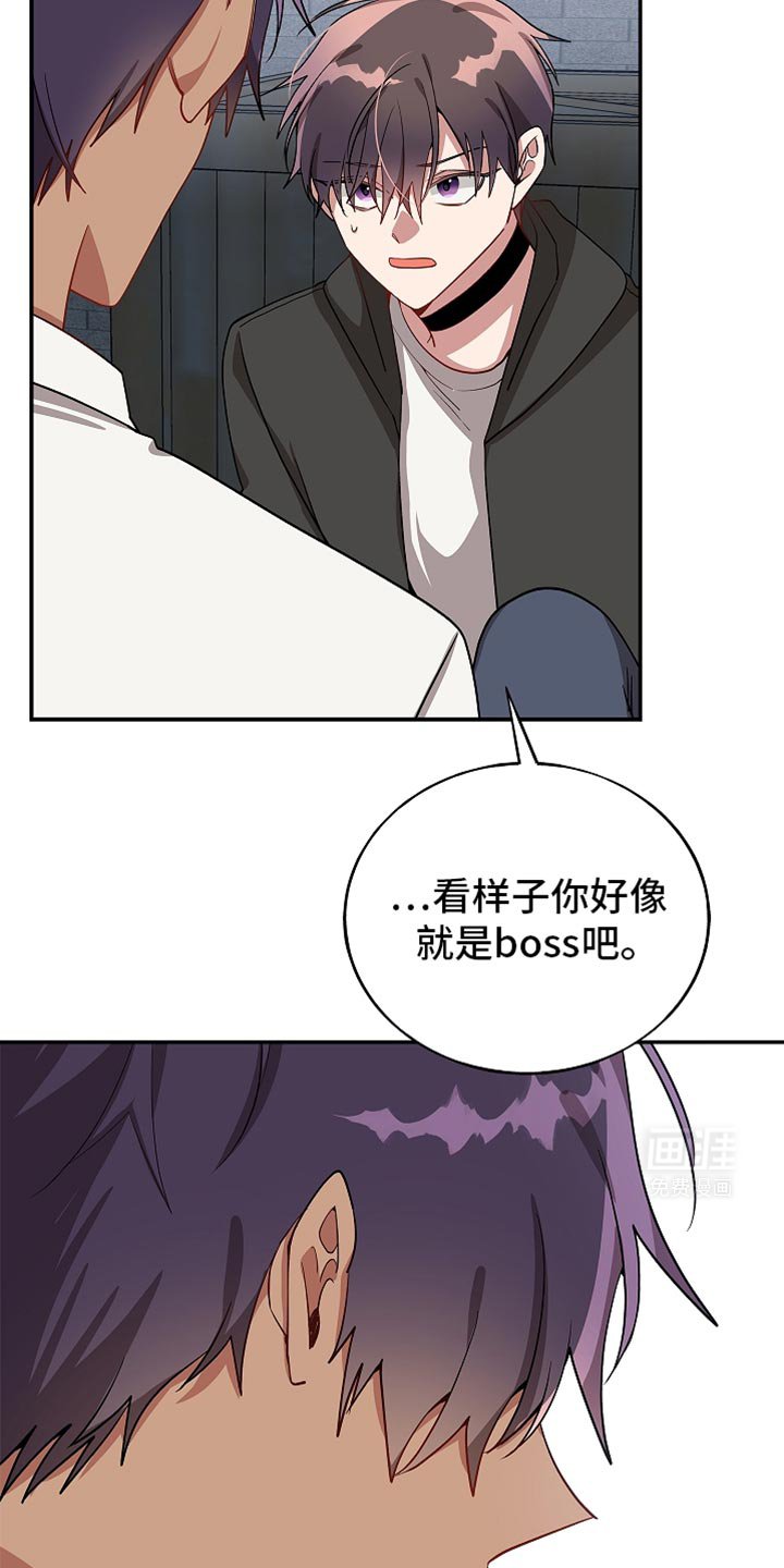 第120章：【第二季】安全装置