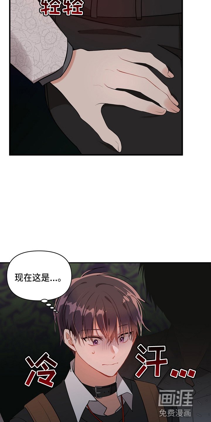 第17章：心悸