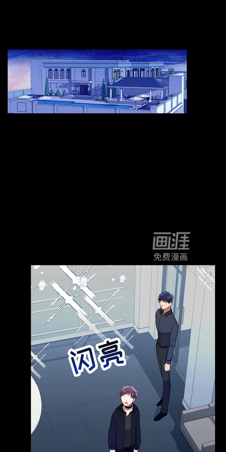 第20章：小猫咪