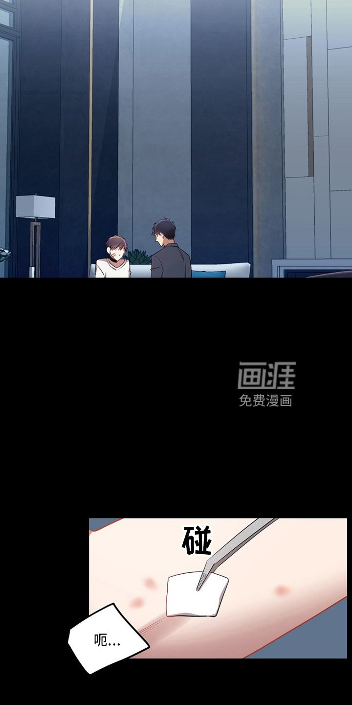 第20章：小猫咪