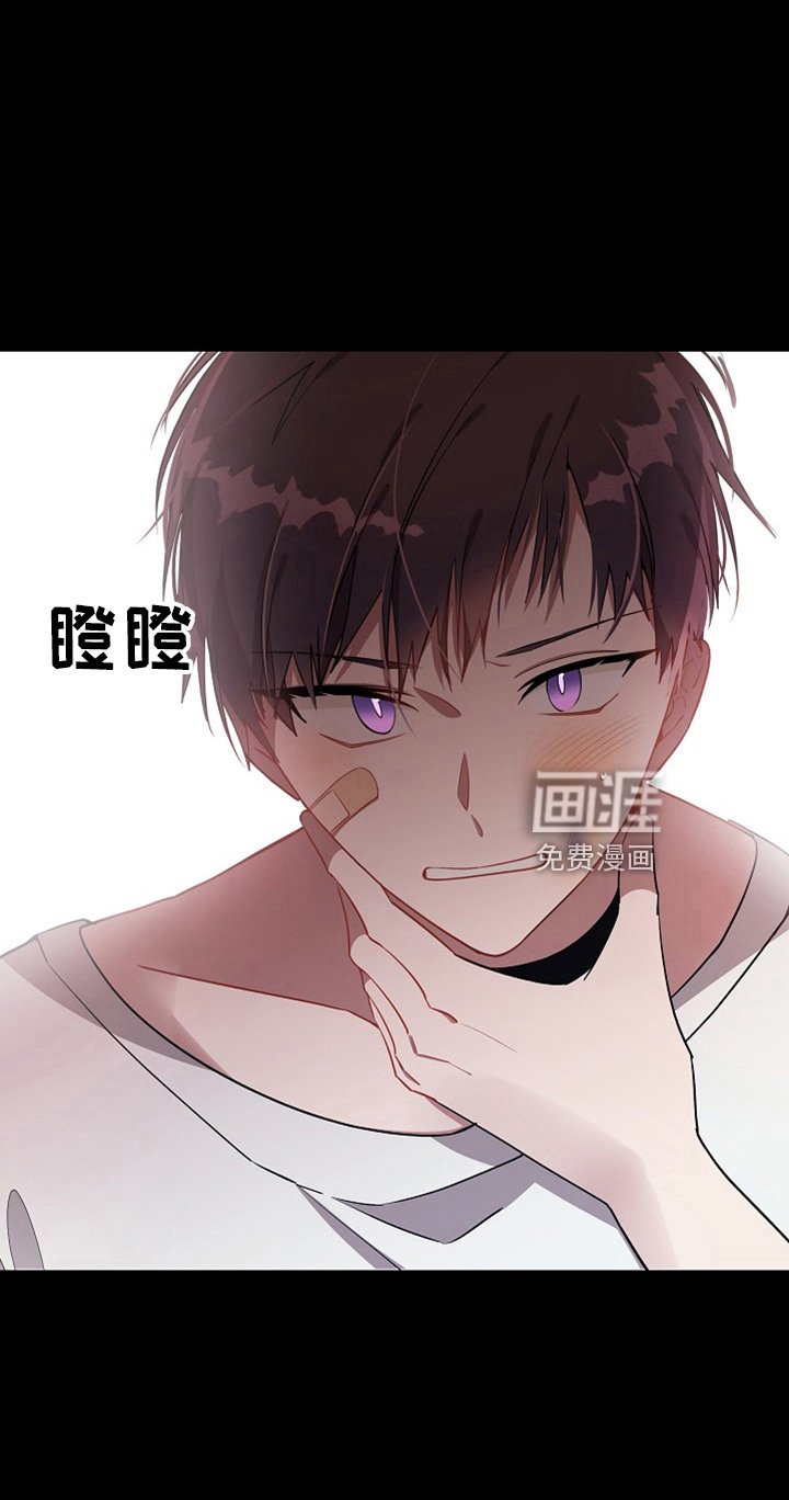 第20章：小猫咪