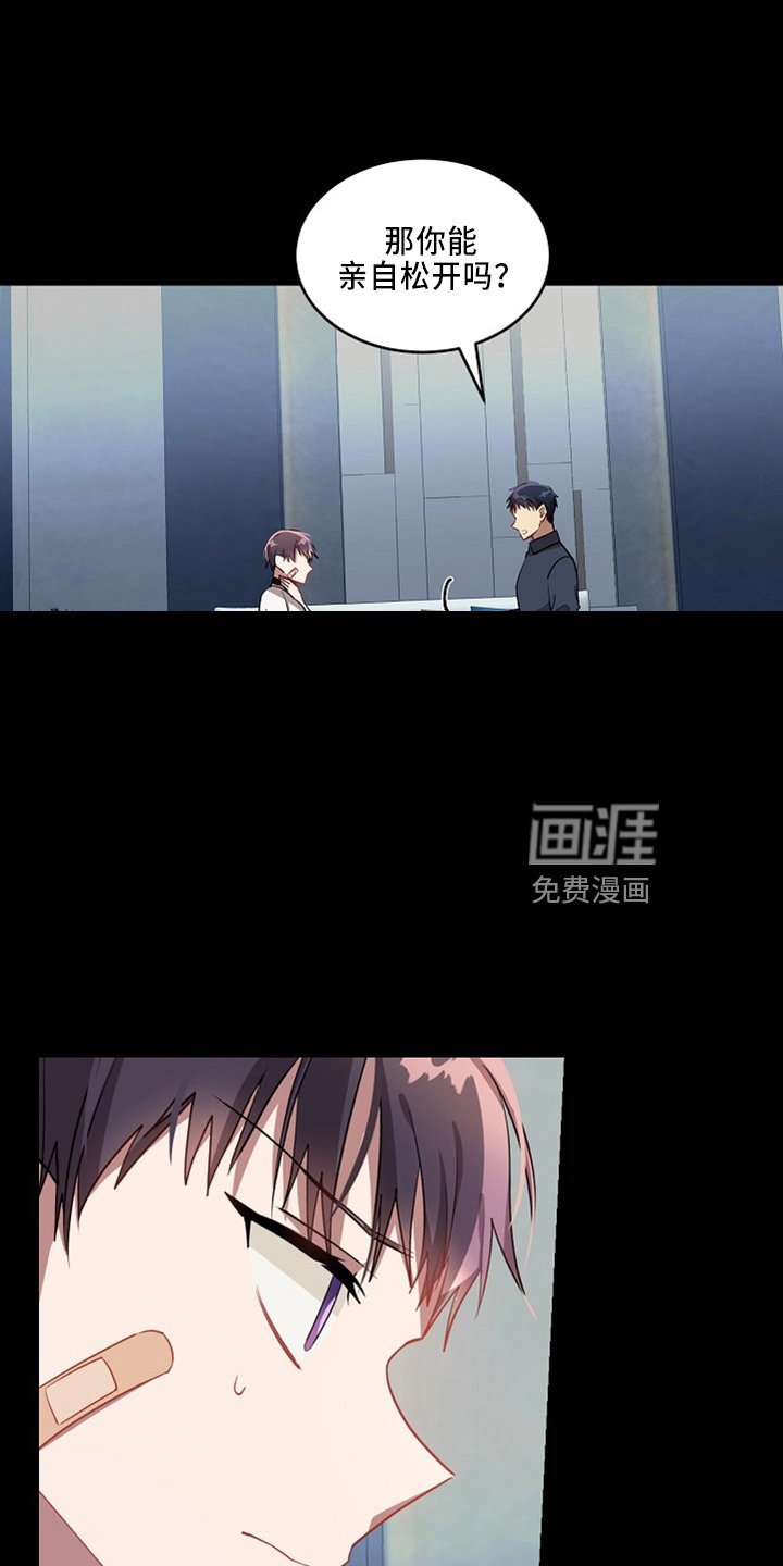 第20章：小猫咪
