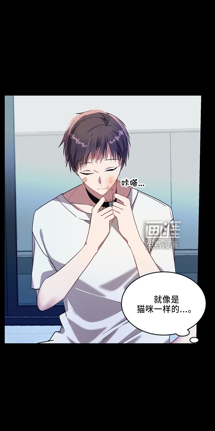 第20章：小猫咪