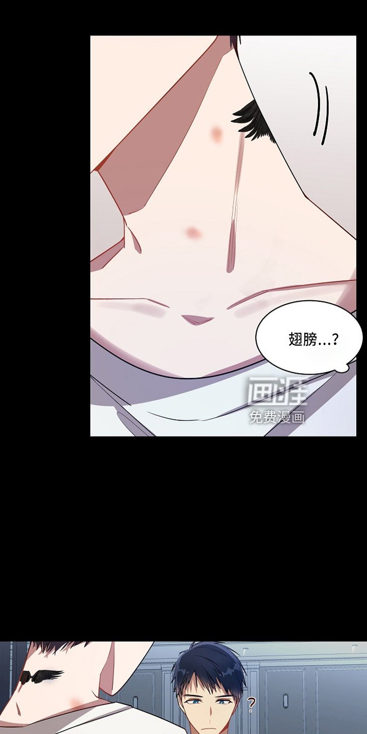 第20章：小猫咪