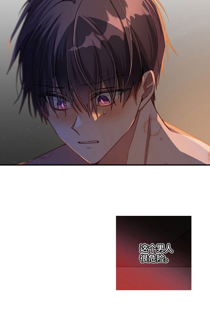 第29章：危险