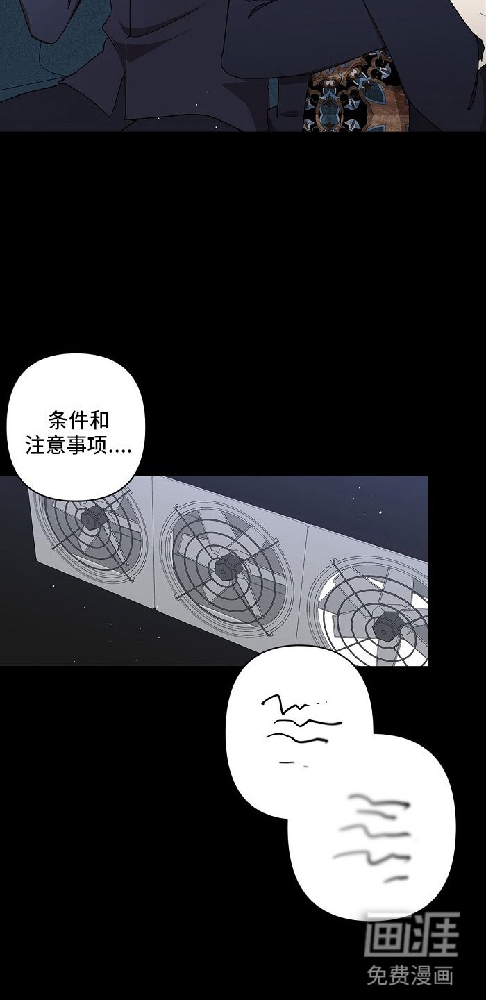 第5章：双胞胎