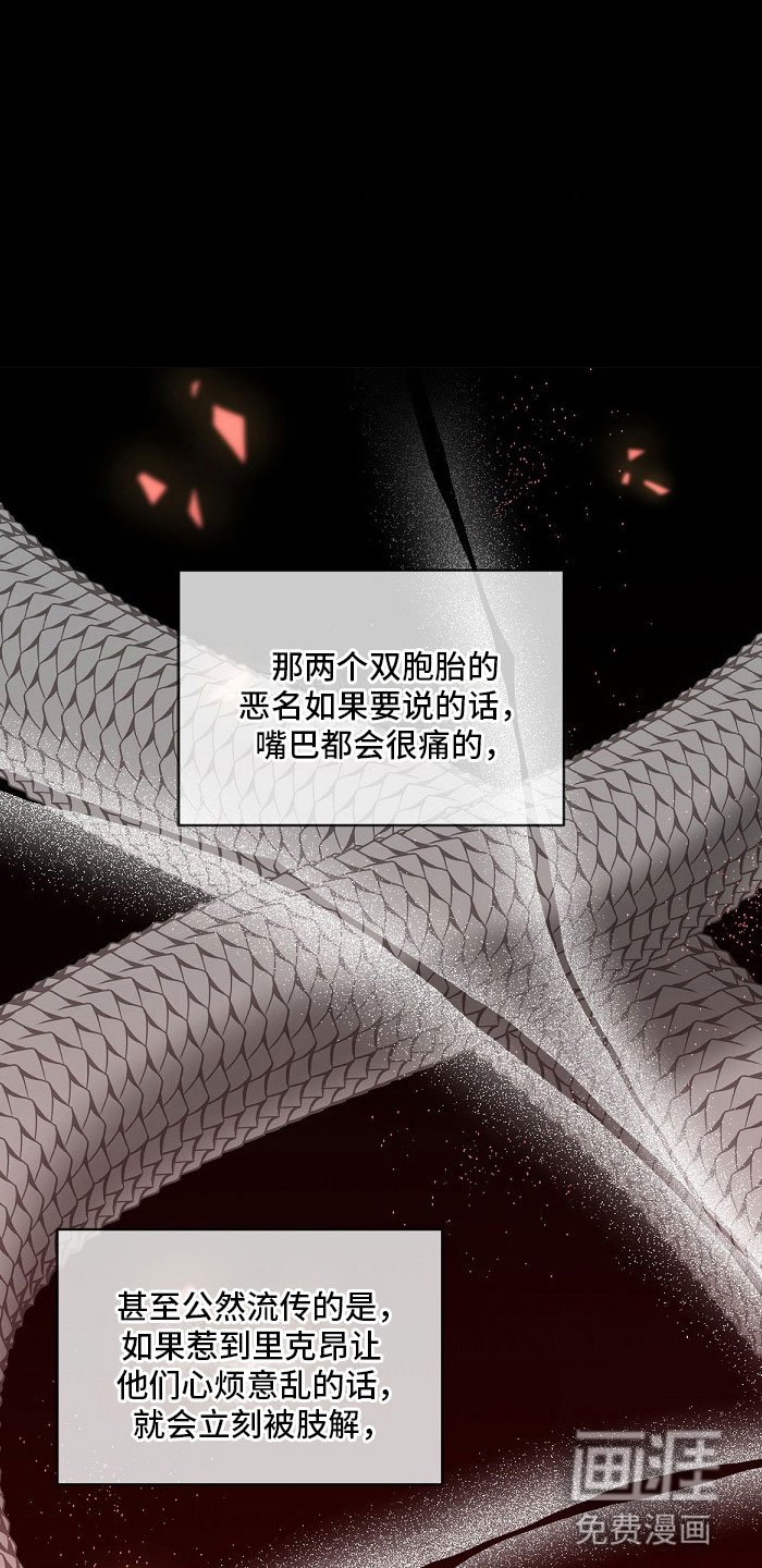 第5章：双胞胎