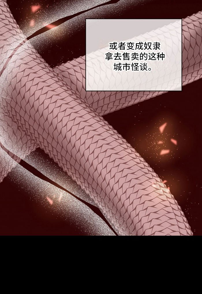 第5章：双胞胎