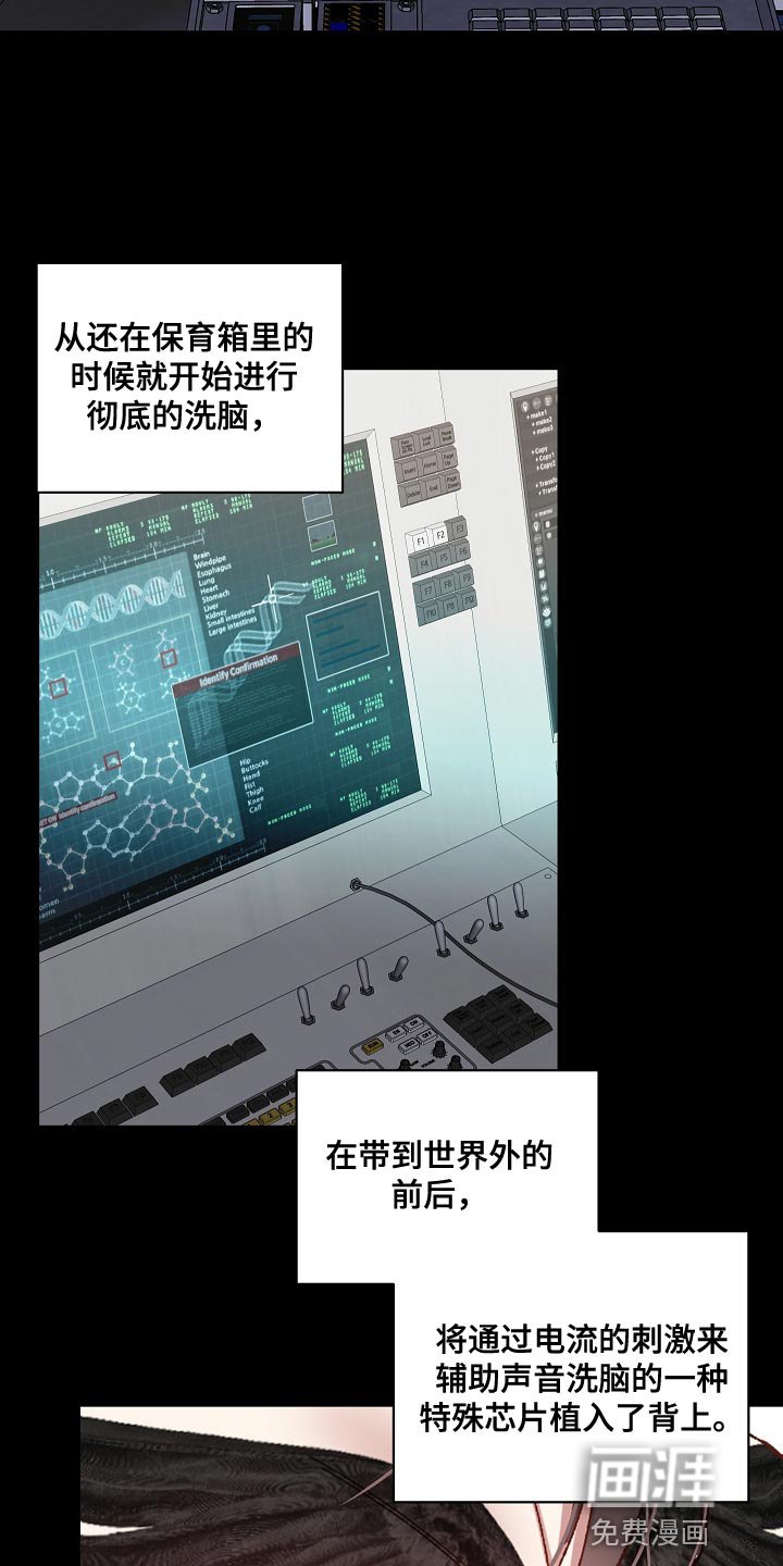 第56章：我的创造是成功的