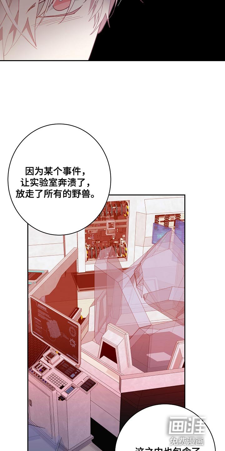 第56章：我的创造是成功的
