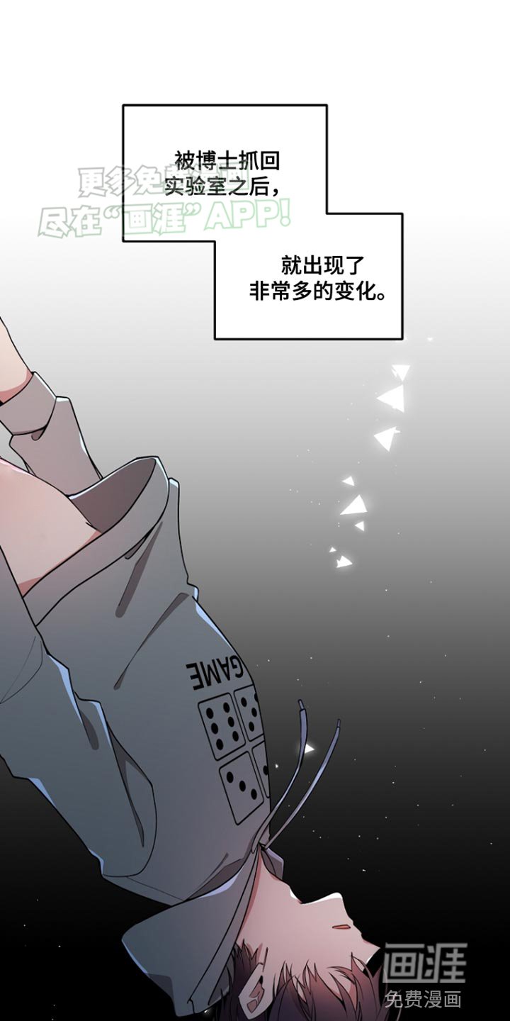 第72章：【第二季】崩塌的和平