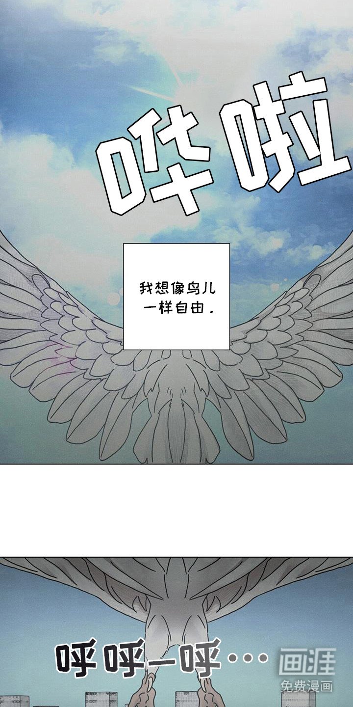 第102章：【第二季】自由