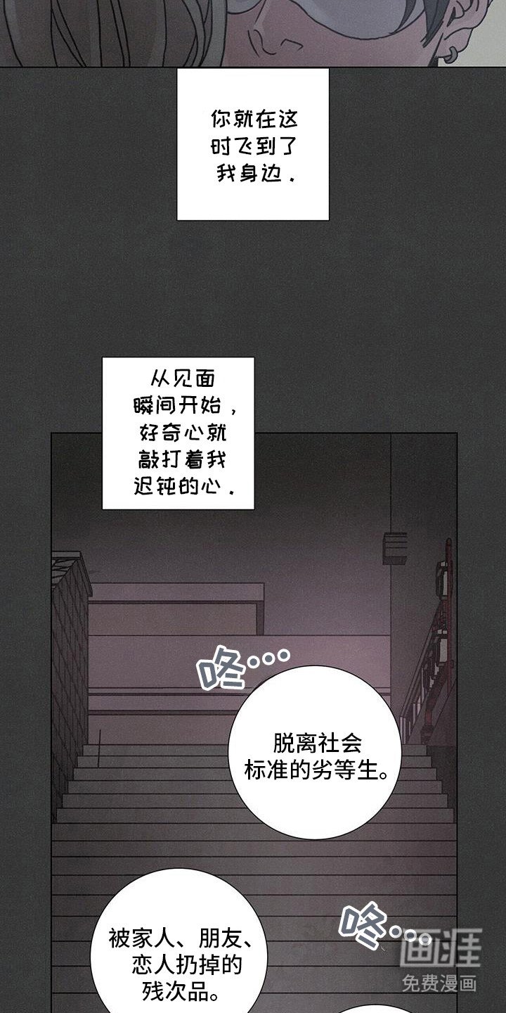 第102章：【第二季】自由