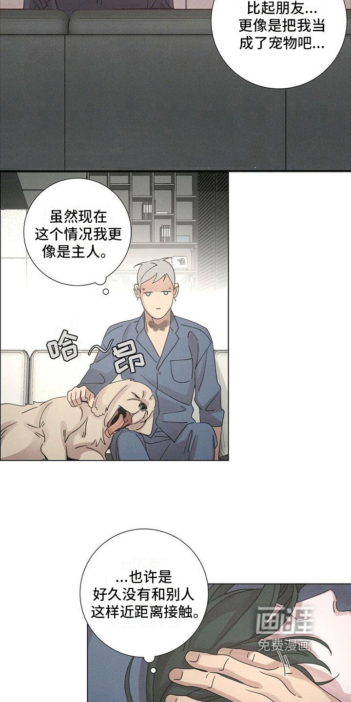 第11章：态度