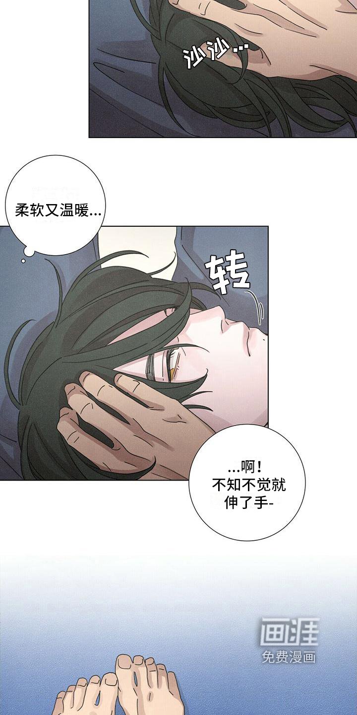 第11章：态度