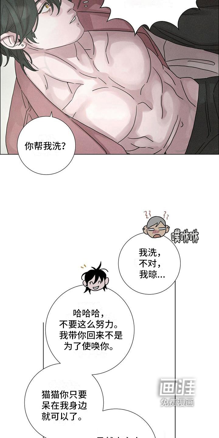 第12章：不同