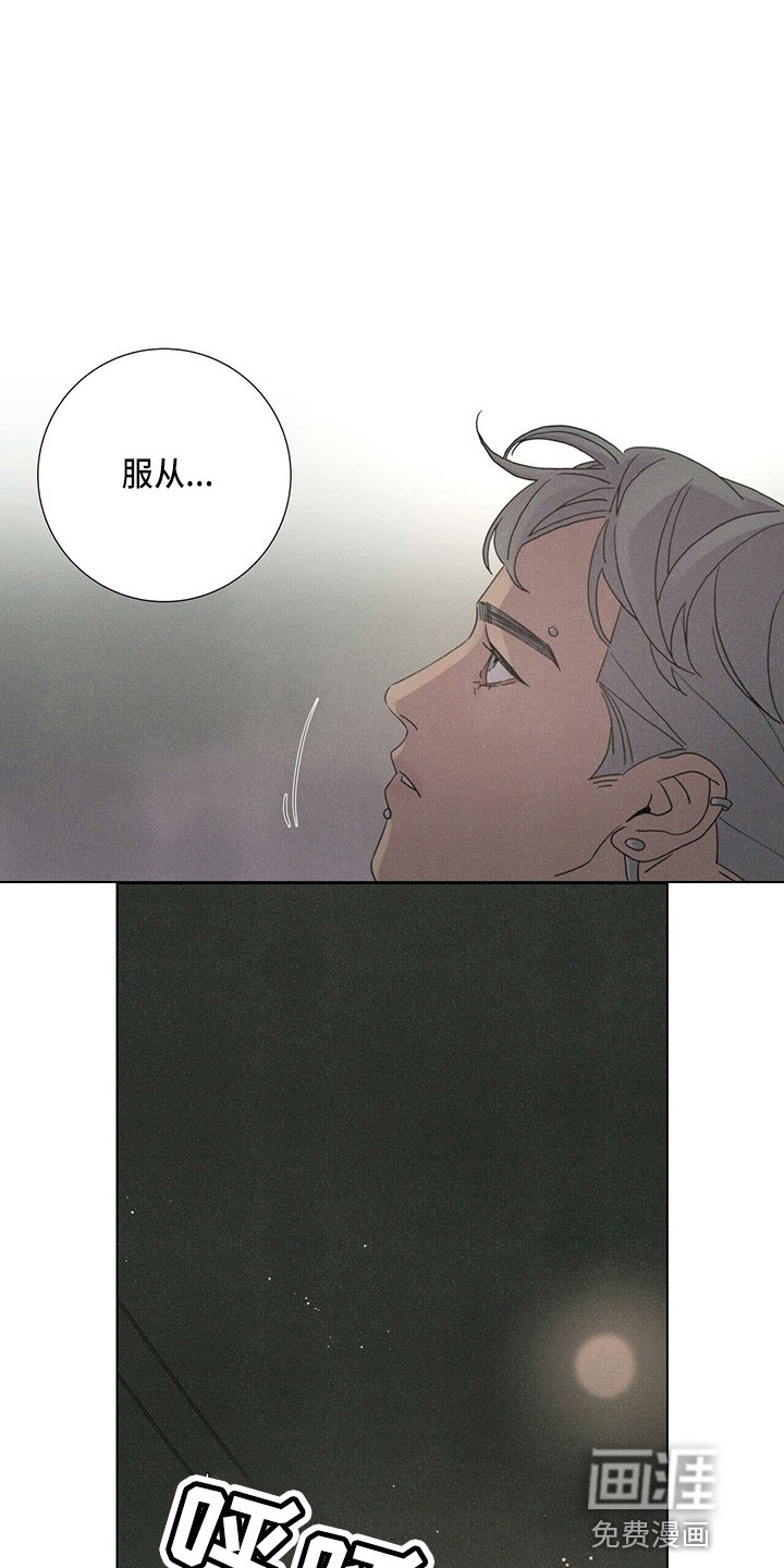 第19章：蝴蝶