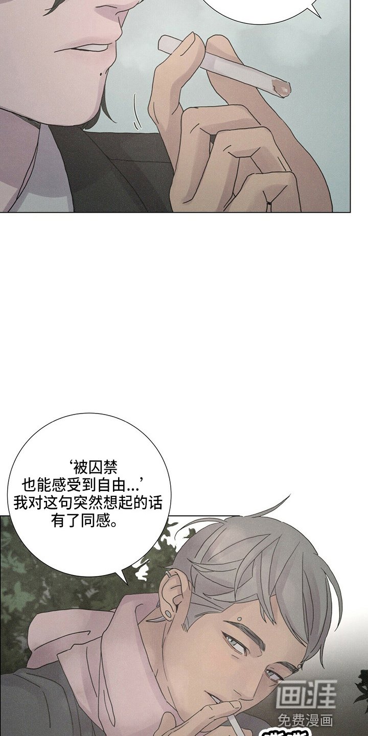第19章：蝴蝶
